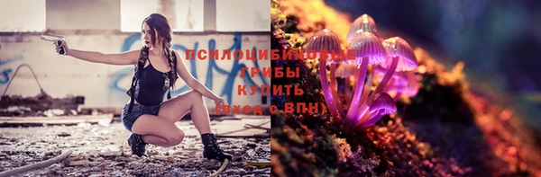 a pvp Сосновоборск