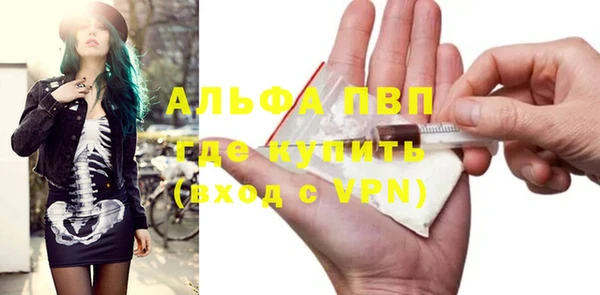 стафф Сосновый Бор