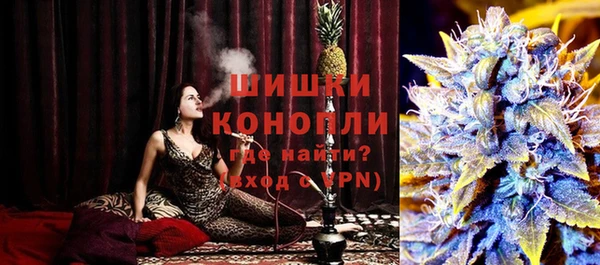 стафф Сосновый Бор