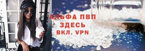 стафф Сосновый Бор